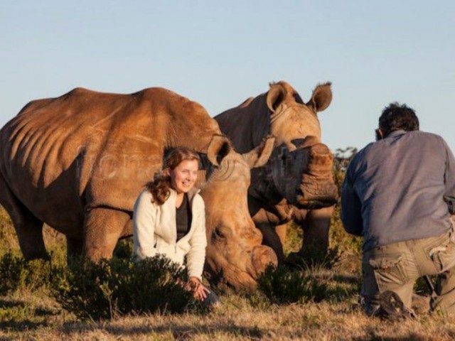 Fighting for Rhinos