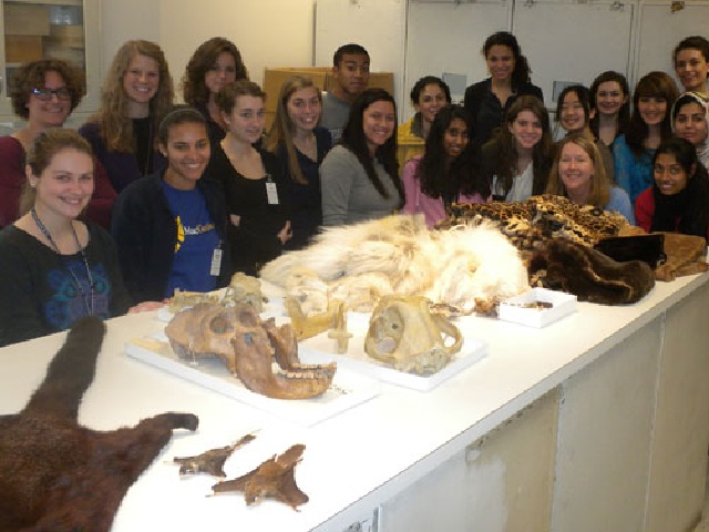 Lions, and Leopards, and Bears ? OH MY!