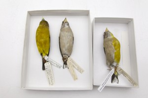blurb image 5