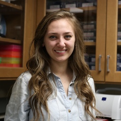 Central Michigan University Intern at NMNH