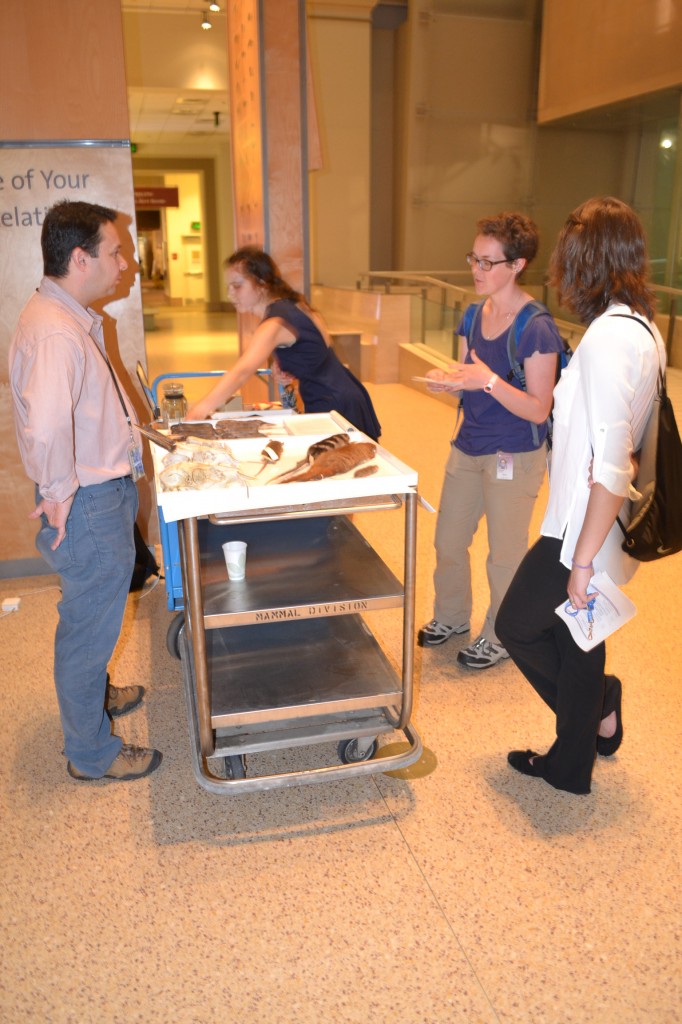 Dr. Eliécer E. Gutiérrez speaking with students about mammal specimens in the Hall of Mammals.