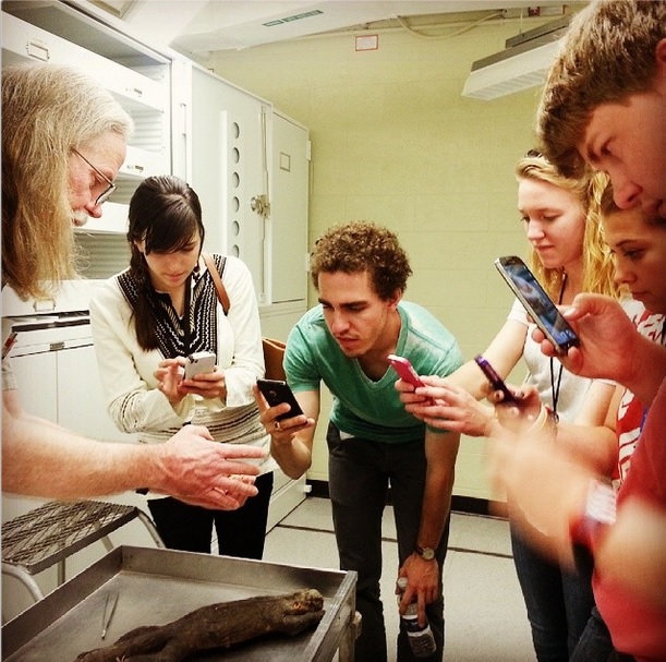 20140702 NMNH Interns Tour Herpetology