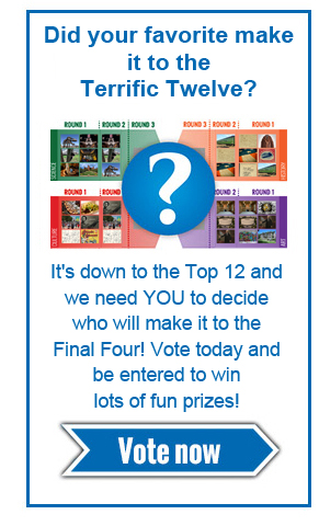 Vote Now