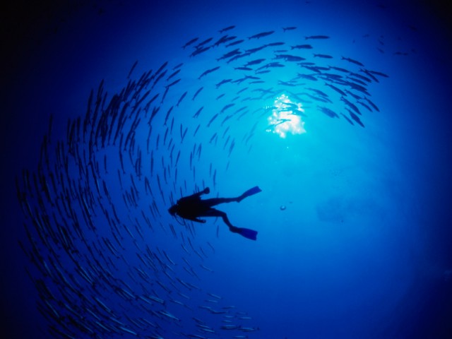 Call for FY15 MarineGEO Postdoctoral Fellowship Proposals!