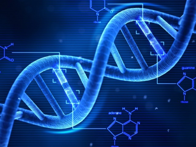 Calling All Gene Genies!