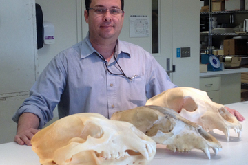Smithsonian Fellow Eliécer Gutiérrez debunks projections that hair samples found in the Himalayans belong to Yeti, arguing instead that they belonged to a brown bear.