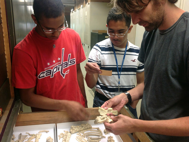 Hey Scientist, Who Are You Mentoring?