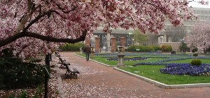 smithsonianpath-2