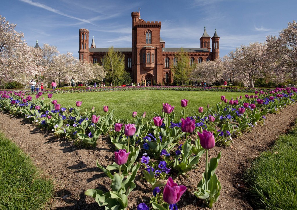 tulips_haupt_garden_4-2-10_0