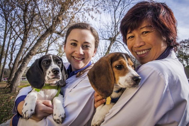 Puppy Partnership