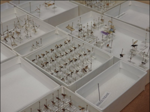 Screen Shot 2016-02-02 at 10.42.27 AM