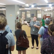 Looking Around the Library