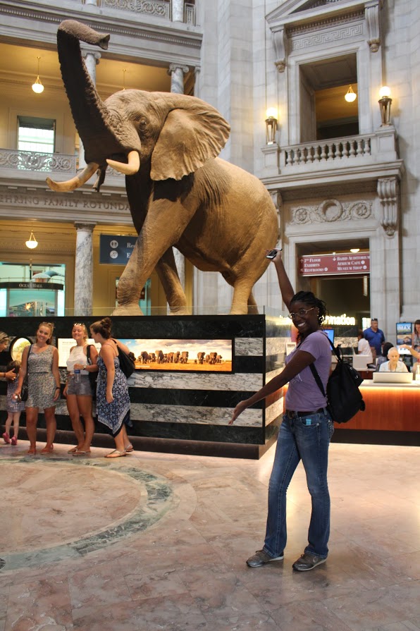 With Henry the Elephant