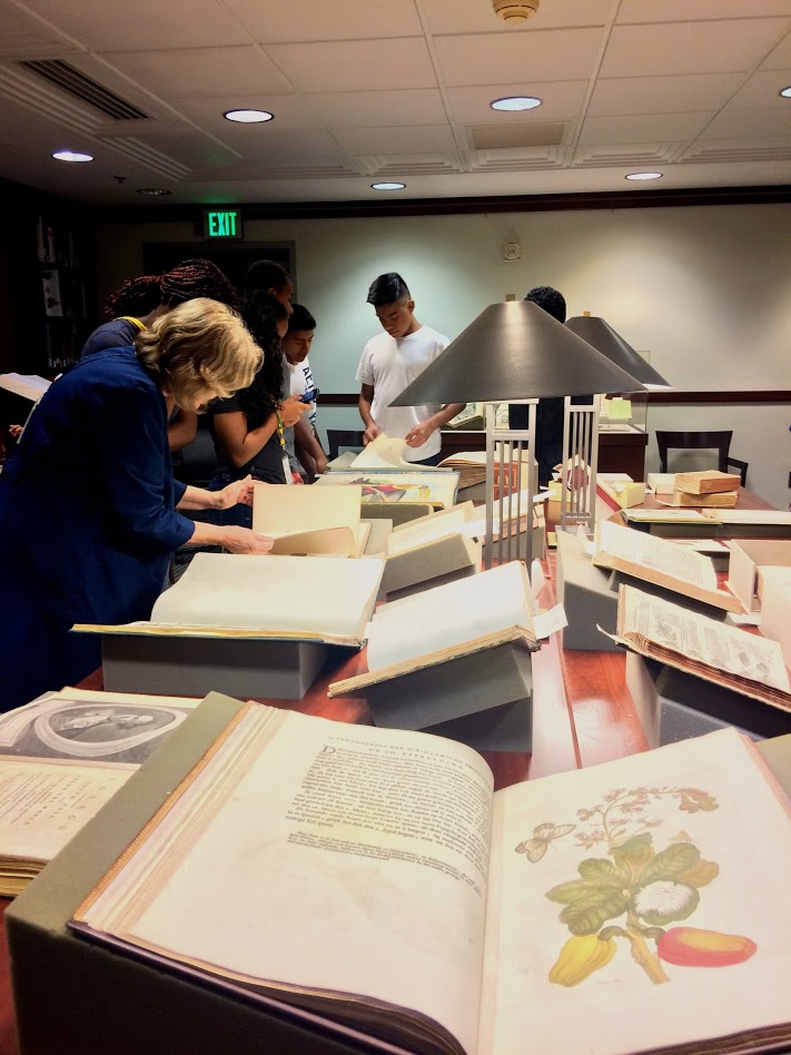 Examining rare books