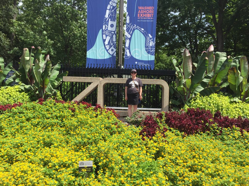 zoo