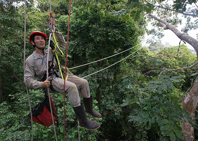 Monkeying Around