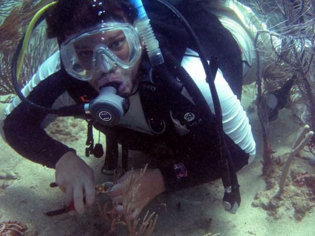Monica, Carlos, and Corals