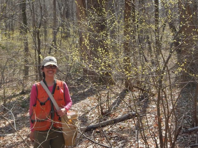 Internship Opportunity with ForestGEO