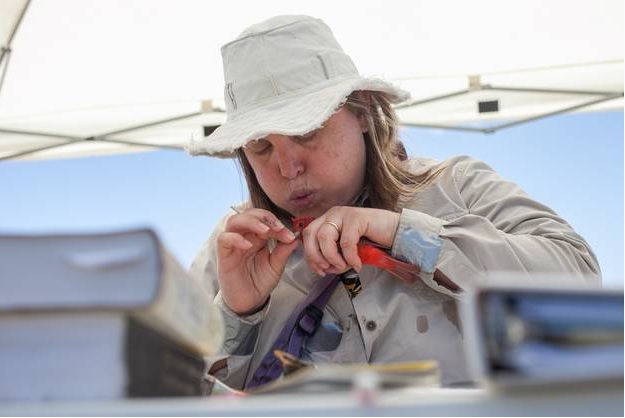 Feathers in Different Weathers