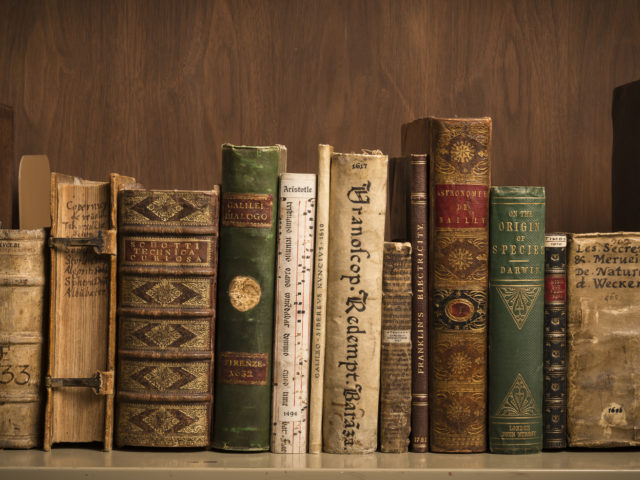 Kathryn Turner Diversity and Technology Internship