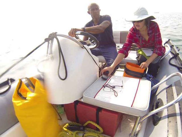 Something in the Water