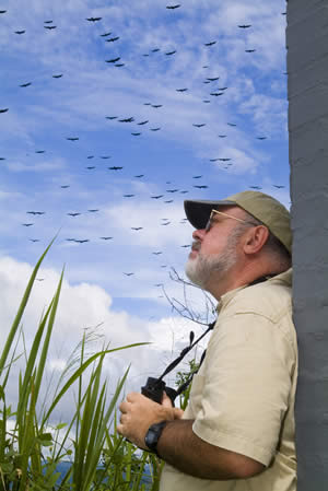 (Intern)ational Opportunities at STRI