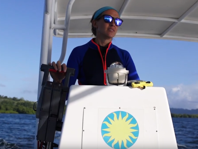 Acting Against Acidification