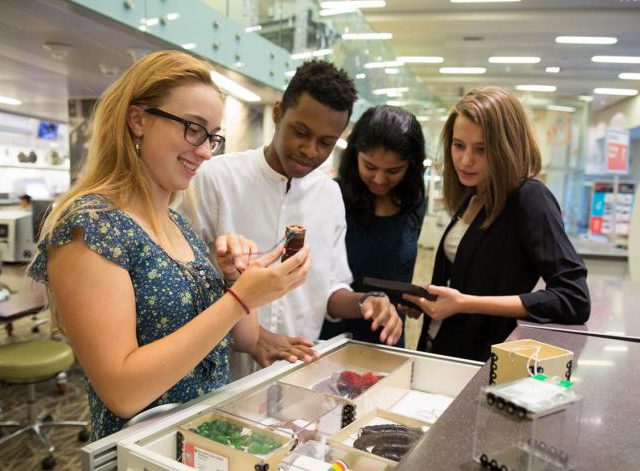 NMNH Q?Crew Program Assistant Internship