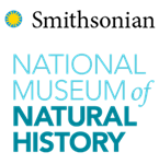 NMNH YES! Program Assistant Internship