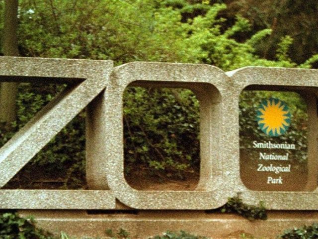 Small Mammal House Enrichment Internship