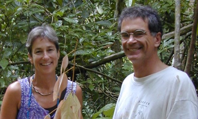 Benefits Of Diversity Shown In Tropical Rainforest