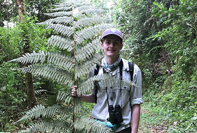 Financing Ferns
