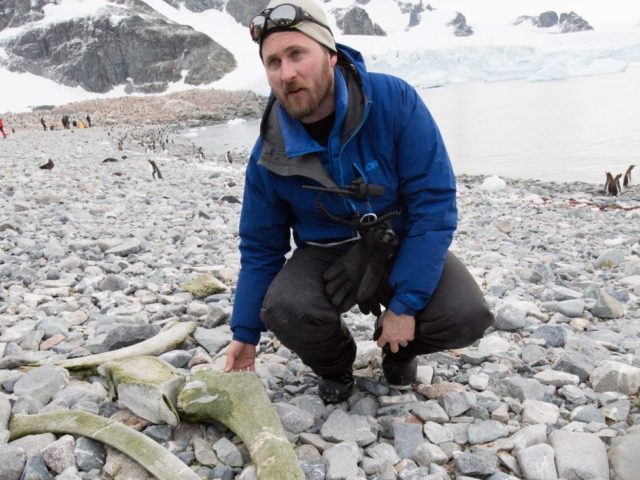 Whales Ancient Past Revealed