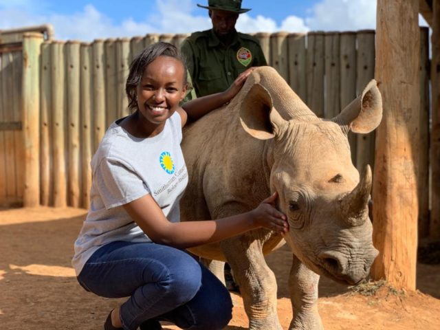 Second Hand Rhino Research