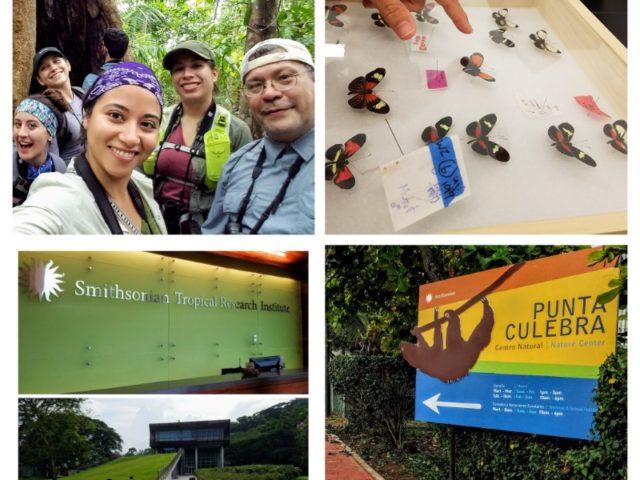 UCSB-Smithsonian Scholars ¡ERES! Summer Program: Smithsonian Tropical Research Institute 2019!